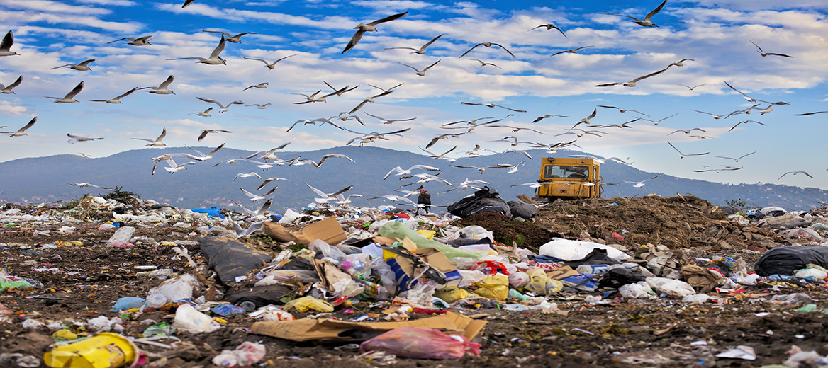 Photo/rendering of South Wake Landfill Project